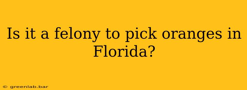 Is it a felony to pick oranges in Florida?