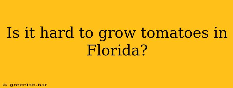 Is it hard to grow tomatoes in Florida?