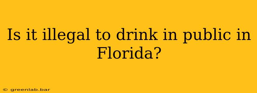 Is it illegal to drink in public in Florida?