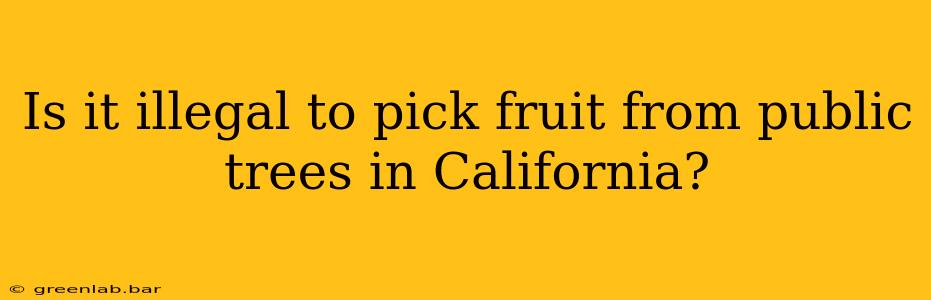 Is it illegal to pick fruit from public trees in California?