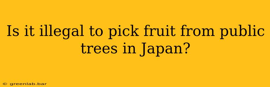 Is it illegal to pick fruit from public trees in Japan?