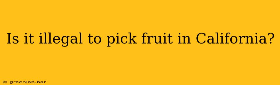 Is it illegal to pick fruit in California?