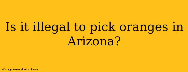 Is it illegal to pick oranges in Arizona?