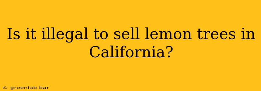 Is it illegal to sell lemon trees in California?