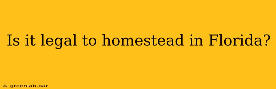 Is it legal to homestead in Florida?