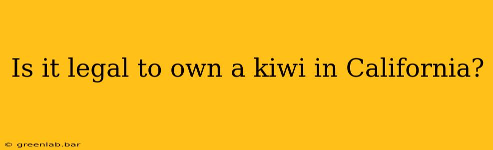 Is it legal to own a kiwi in California?