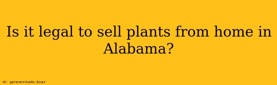 Is it legal to sell plants from home in Alabama?