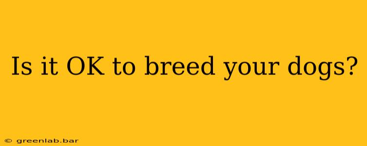 Is it OK to breed your dogs?