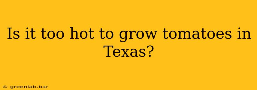 Is it too hot to grow tomatoes in Texas?