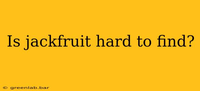 Is jackfruit hard to find?