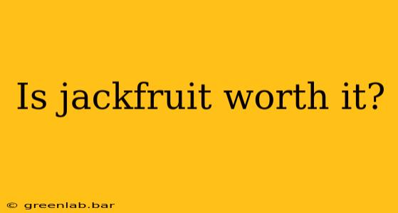 Is jackfruit worth it?