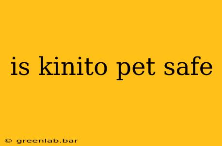 is kinito pet safe