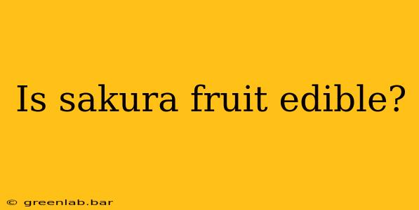 Is sakura fruit edible?