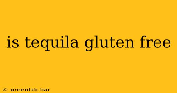 is tequila gluten free