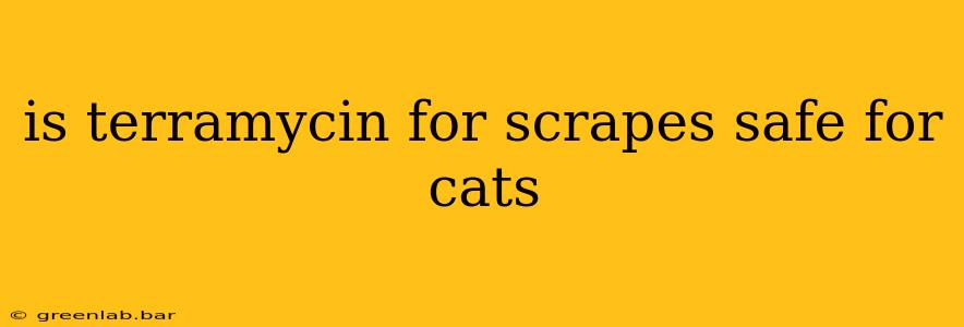 is terramycin for scrapes safe for cats