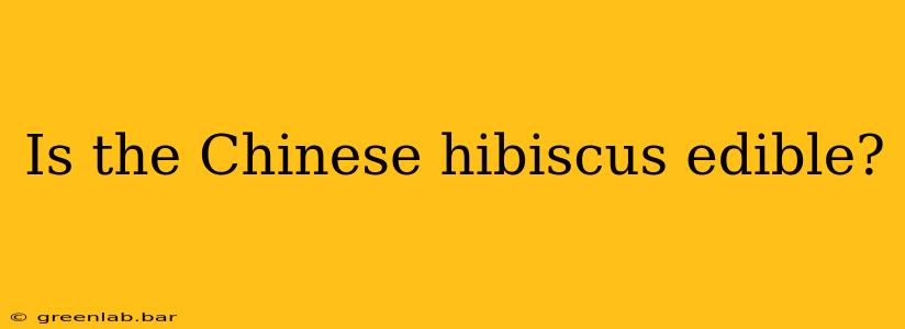 Is the Chinese hibiscus edible?