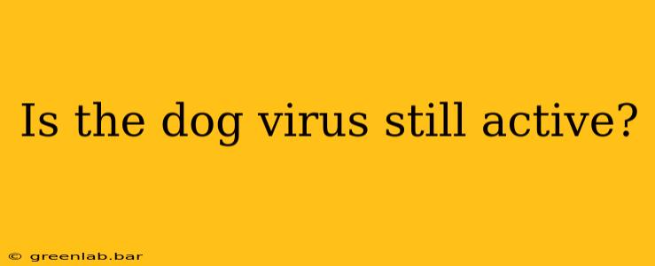 Is the dog virus still active?