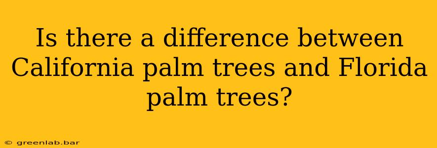 Is there a difference between California palm trees and Florida palm trees?