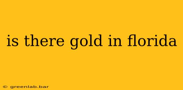 is there gold in florida