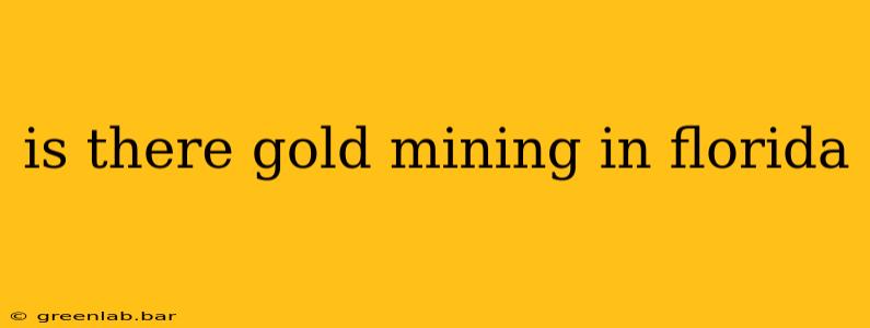 is there gold mining in florida