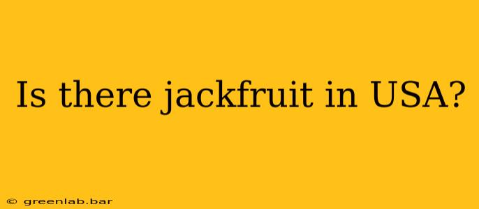 Is there jackfruit in USA?