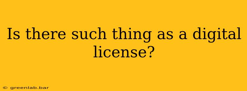 Is there such thing as a digital license?