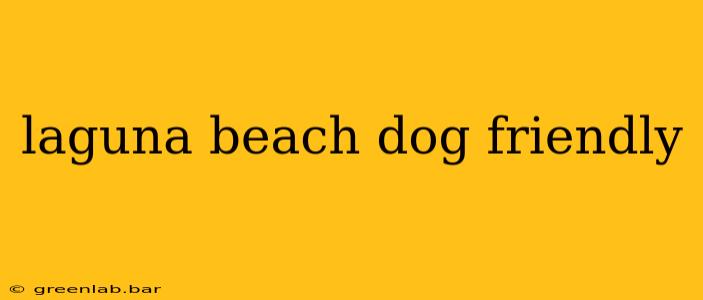 laguna beach dog friendly