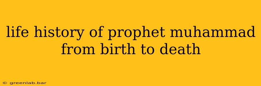 life history of prophet muhammad from birth to death