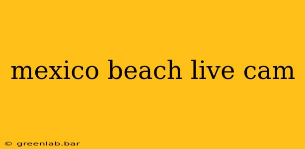 mexico beach live cam