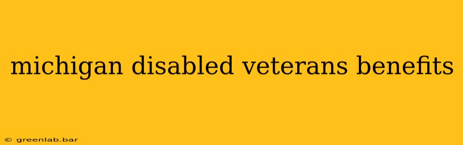 michigan disabled veterans benefits