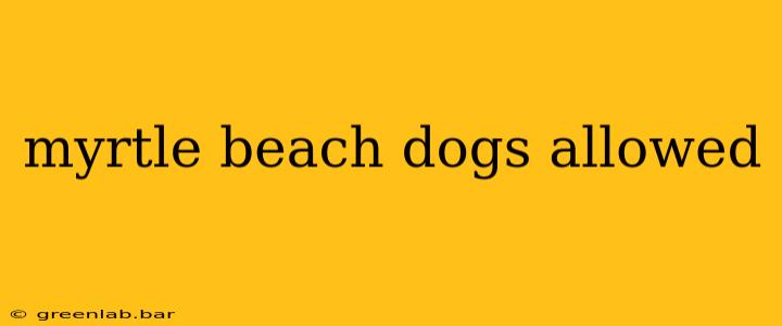 myrtle beach dogs allowed