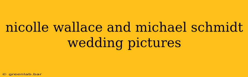 nicolle wallace and michael schmidt wedding pictures