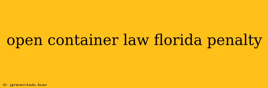 open container law florida penalty