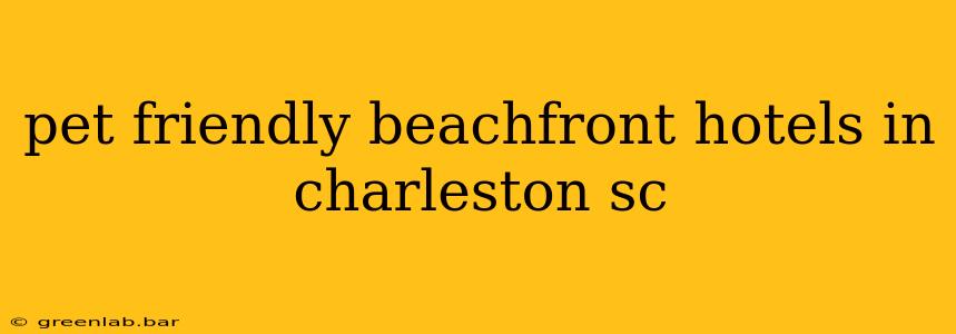 pet friendly beachfront hotels in charleston sc