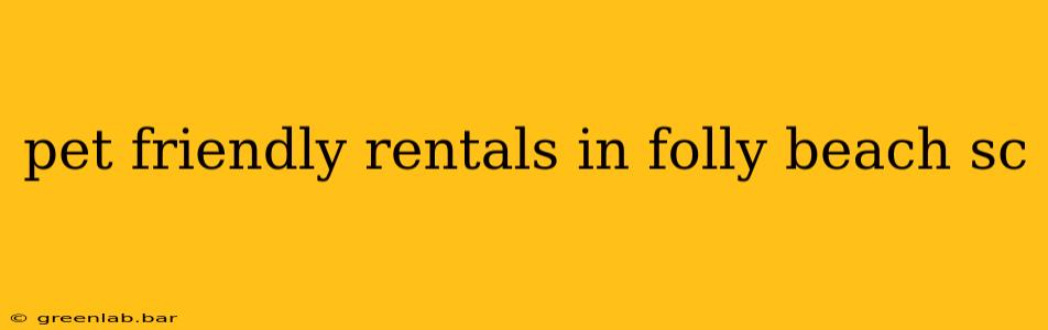 pet friendly rentals in folly beach sc