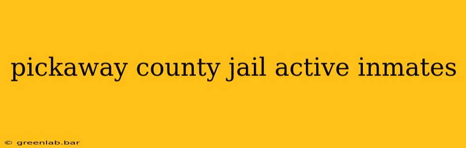 pickaway county jail active inmates