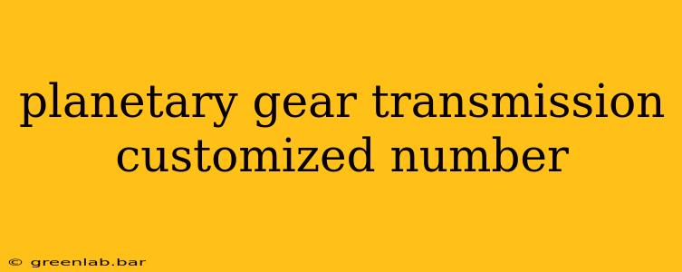 planetary gear transmission customized number