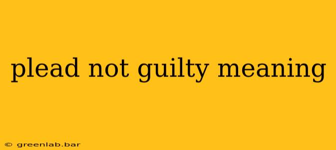 plead not guilty meaning