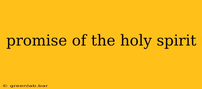 promise of the holy spirit