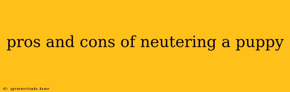 pros and cons of neutering a puppy