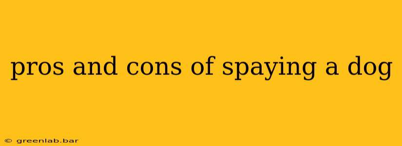 pros and cons of spaying a dog