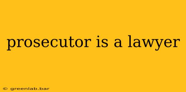 prosecutor is a lawyer