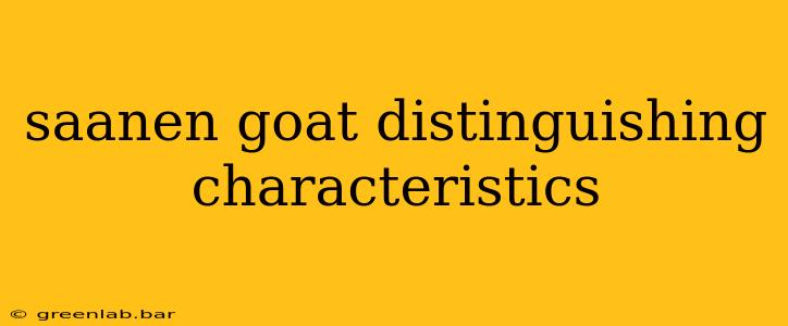 saanen goat distinguishing characteristics