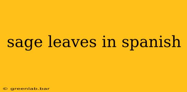 sage leaves in spanish