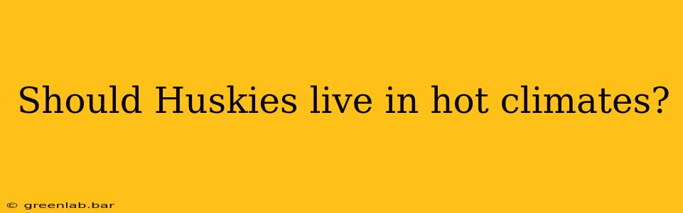 Should Huskies live in hot climates?