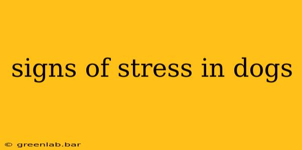 signs of stress in dogs