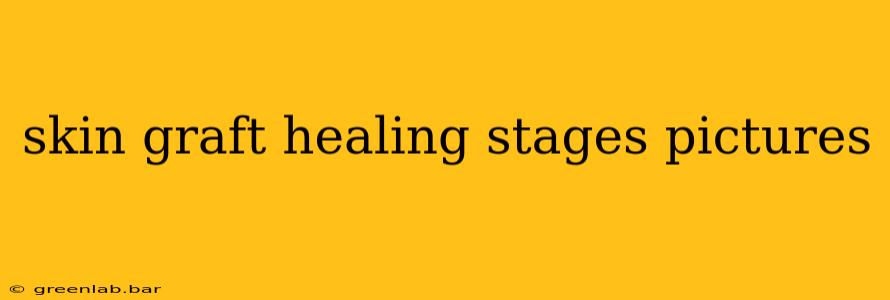 skin graft healing stages pictures