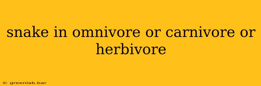 snake in omnivore or carnivore or herbivore