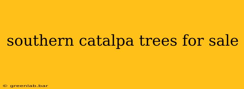 southern catalpa trees for sale