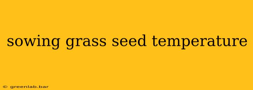 sowing grass seed temperature